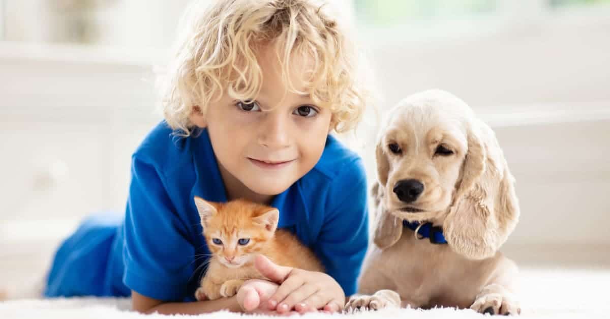Evcil hayvanların çocuklara faydaları