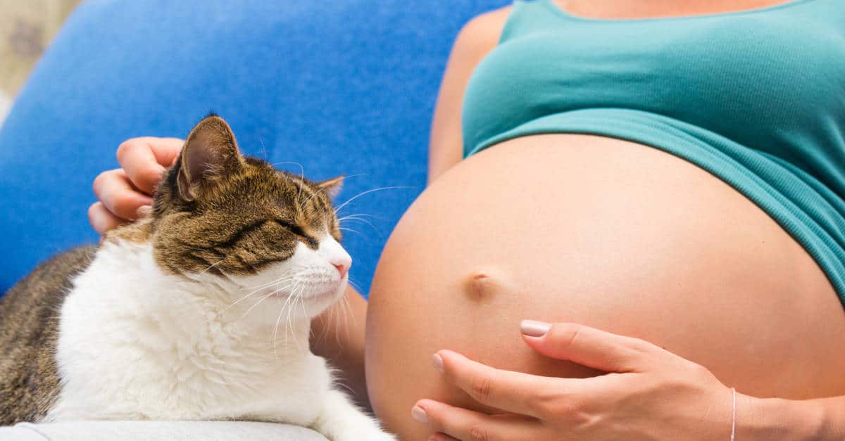 hamile kadın ve kedi