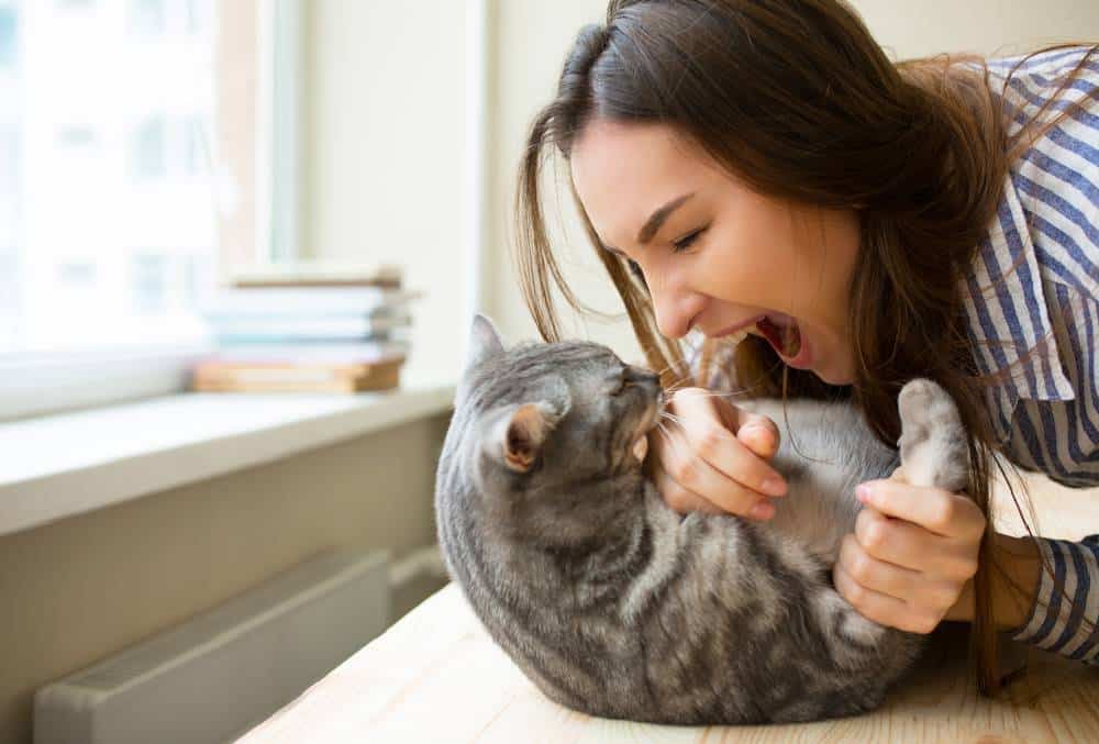Kediler Aşırı İlgiden ve Sert sevilmekten Nefret Eder