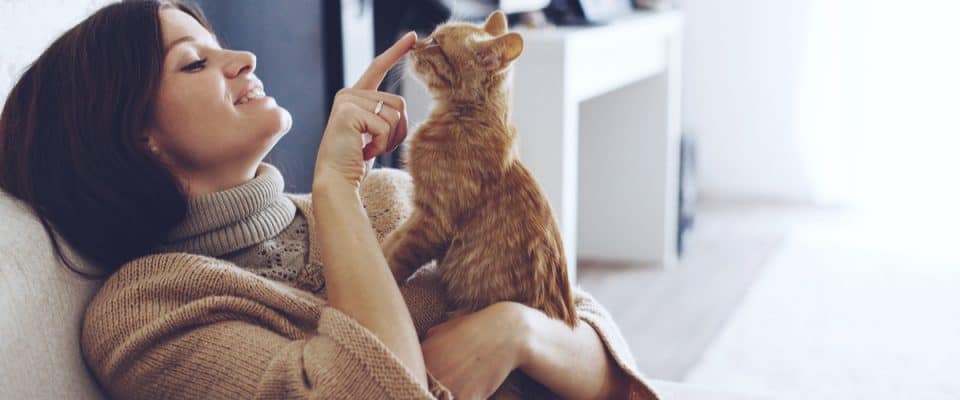 Kedinizin sizi sevdiğini gösteren 15 işaret