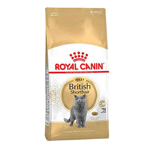Royal Canin British Shorthair Adult Yetişkin Kedi Maması 10 Kg