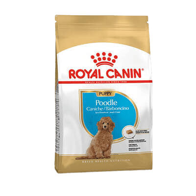 Royal Canin Poodle Junior Yavru Köpek Maması 3 Kg